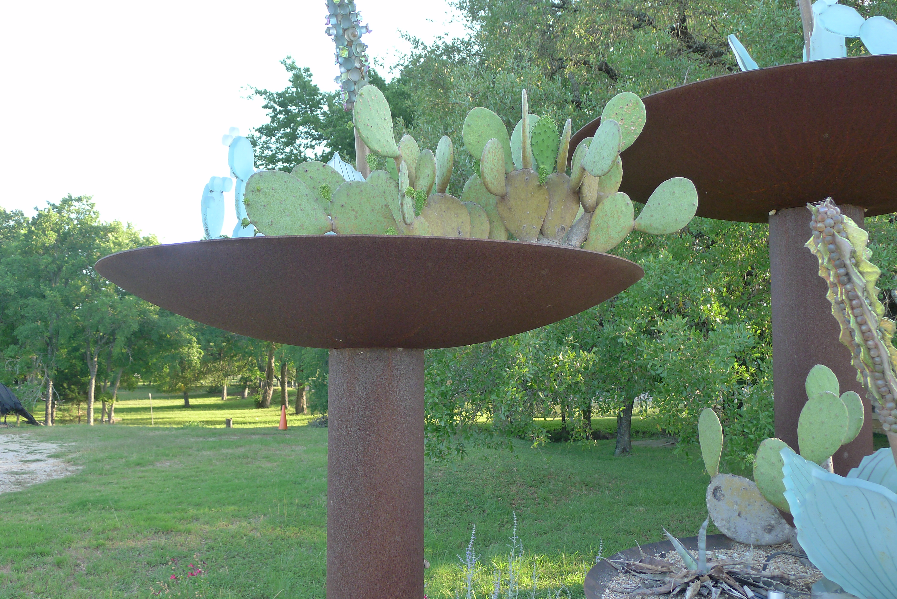 Salado Sculpture Garden